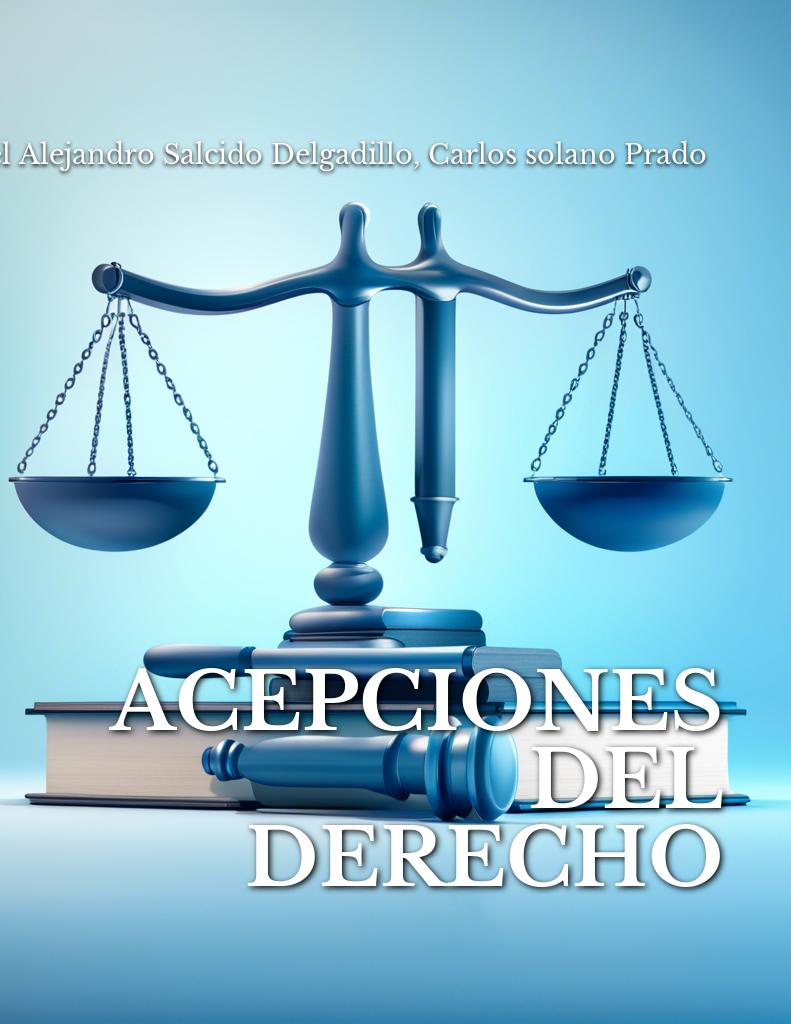 acepciones-del-derecho cover 